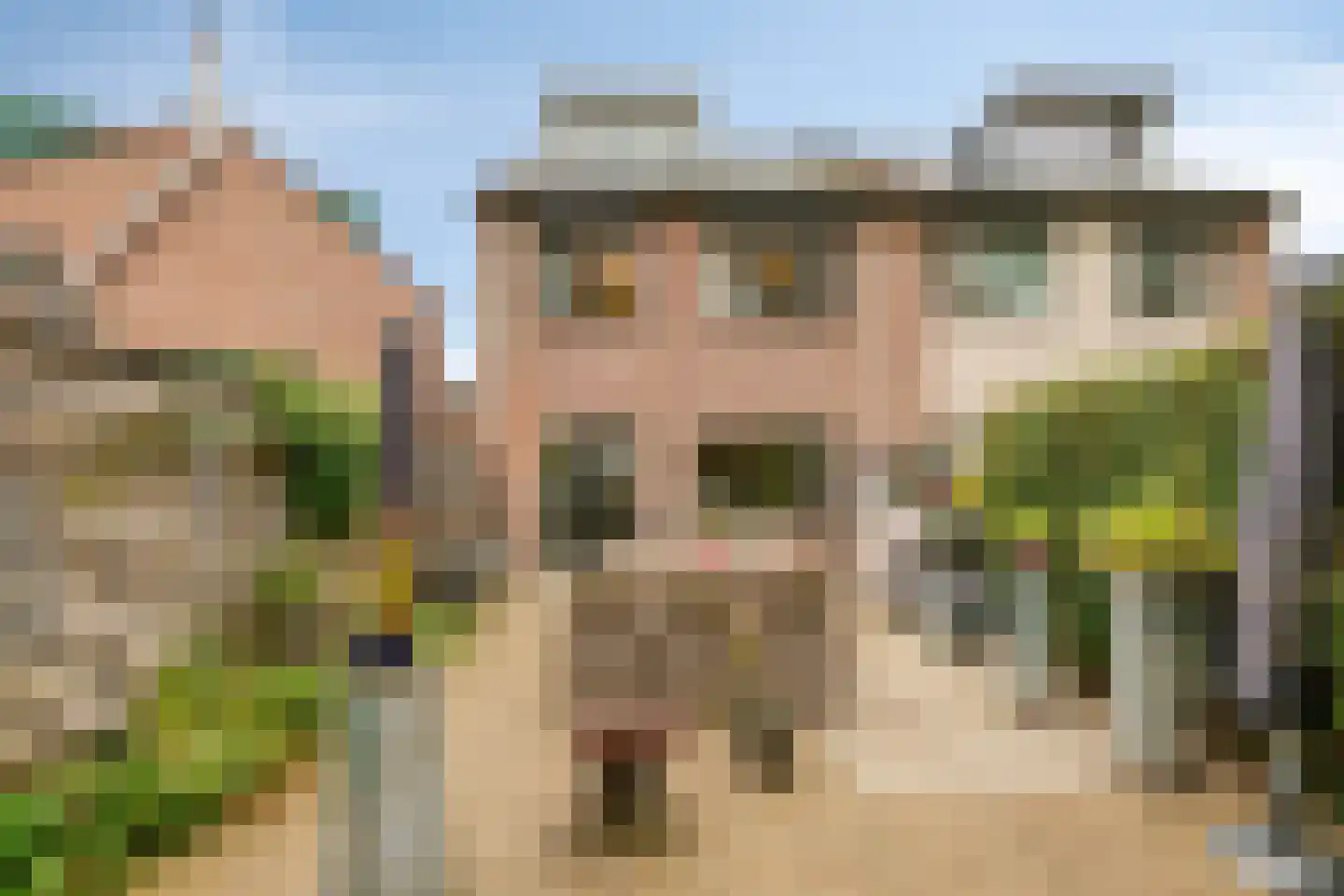 Heemskerkstraat 44 Epe thumbnail 4