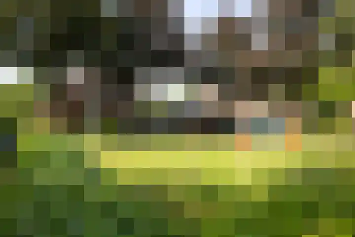 Heemskerkstraat 59 Twello thumbnail 24