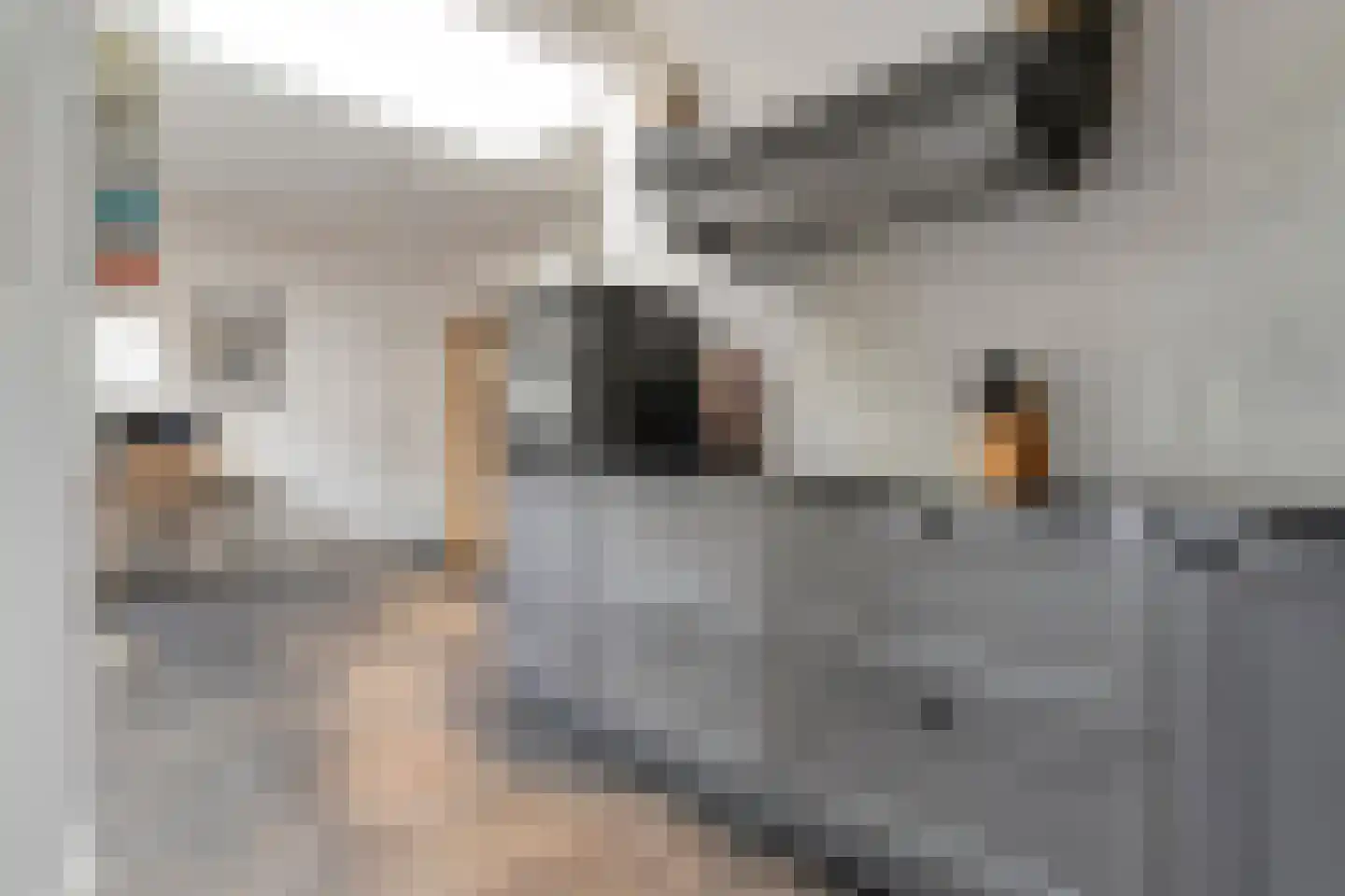 Heemskerkstraat 6 Meppel thumbnail 13