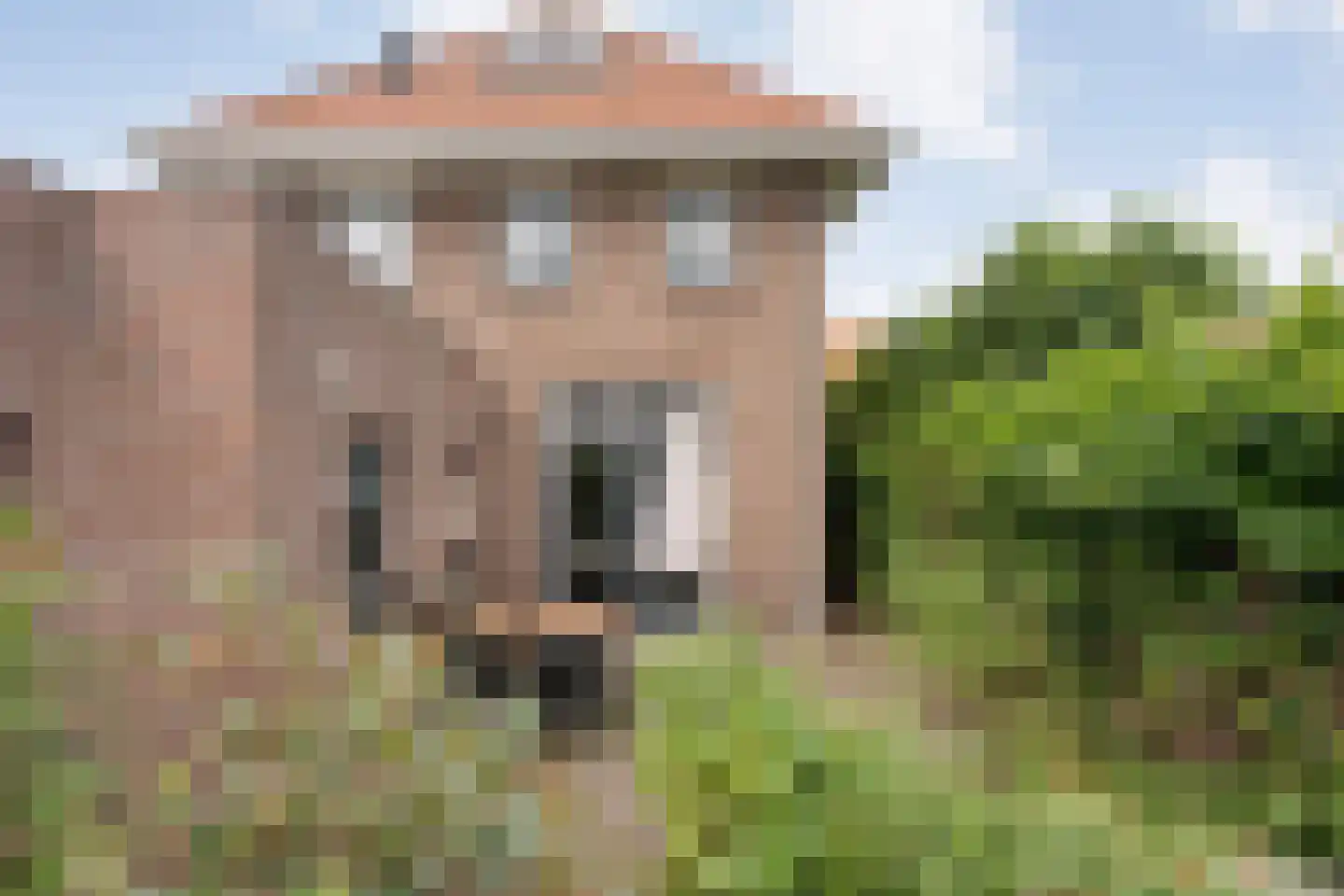 Heemskerkstraat 6 Meppel thumbnail 32