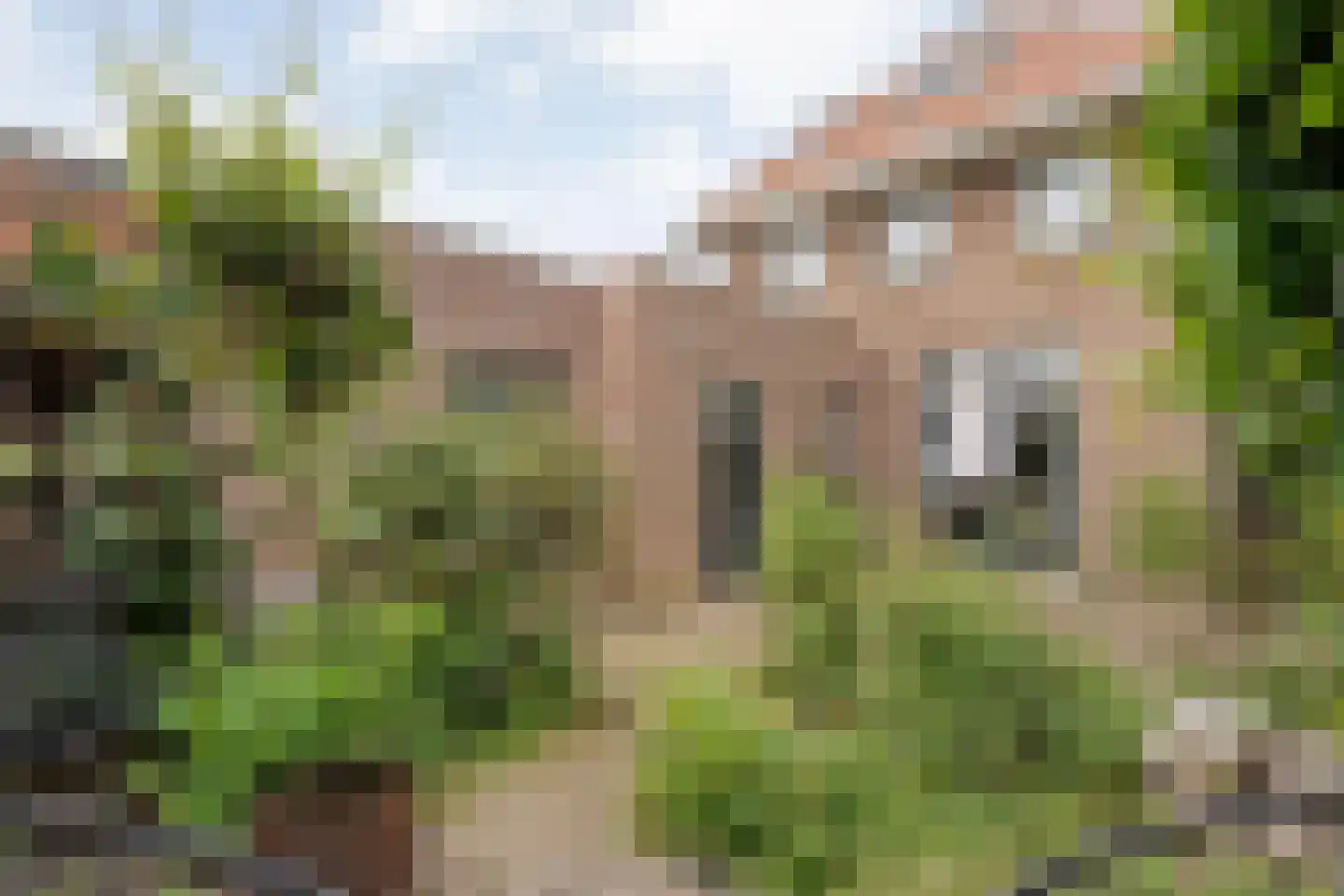 Heemskerkstraat 6 Meppel thumbnail 4