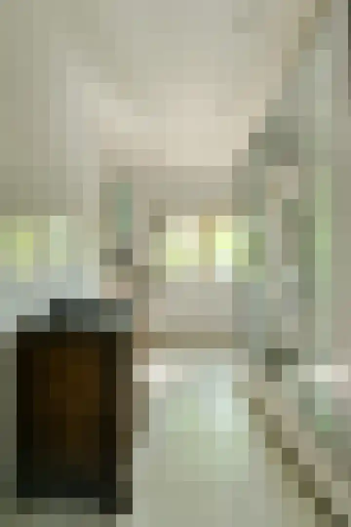 Heemskerkstraat 8 Breda thumbnail 30