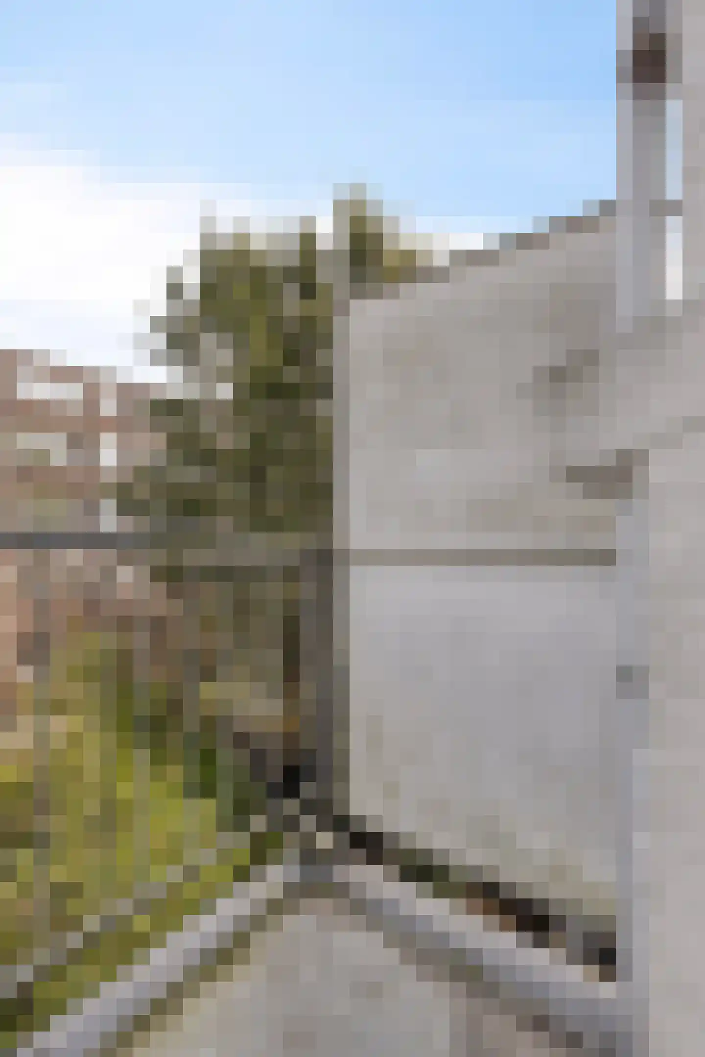 Heemskerkstraat 98 B 02 Rotterdam thumbnail 15