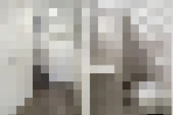 Heemst 4 a Nijverdal thumbnail 12
