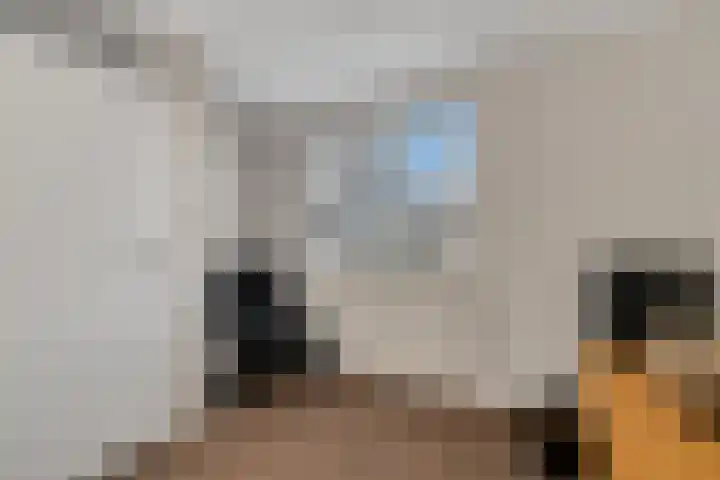 Heemst 4 a Nijverdal thumbnail 20