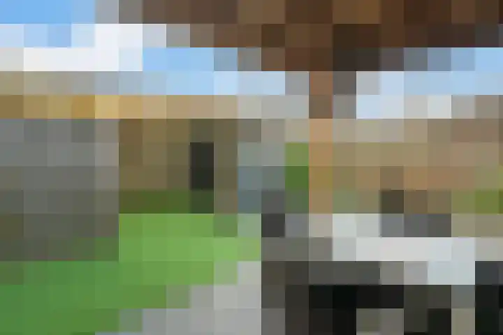 Heemst 4 a Nijverdal thumbnail 23