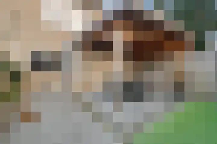 Heemst 4 a Nijverdal thumbnail 24