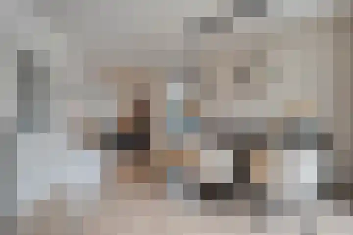 Heemst 8 a Nijverdal thumbnail 11