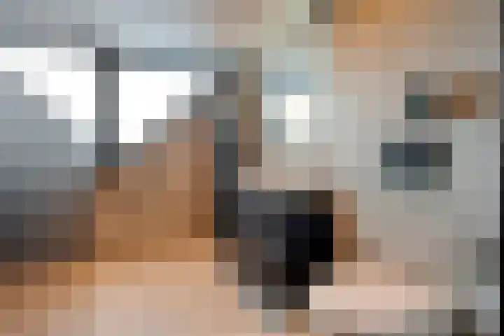 Heemst 8 a Nijverdal thumbnail 25