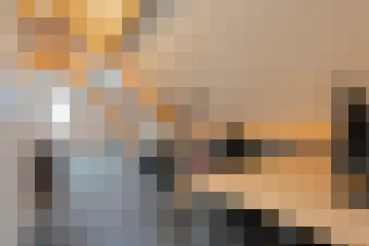 Heemst 8 a Nijverdal thumbnail 30
