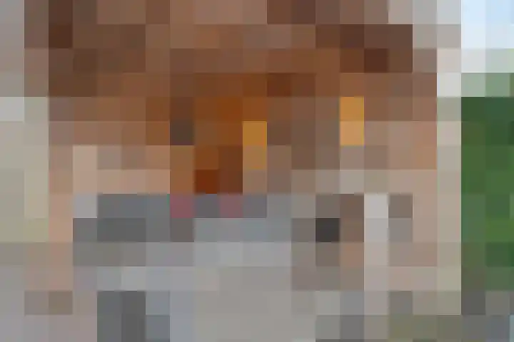 Heemst 8 a Nijverdal thumbnail 36