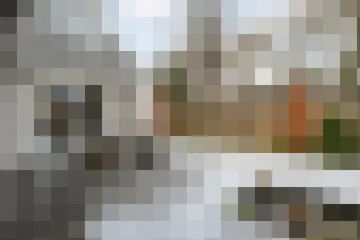 Heemst 8 a Nijverdal thumbnail 37