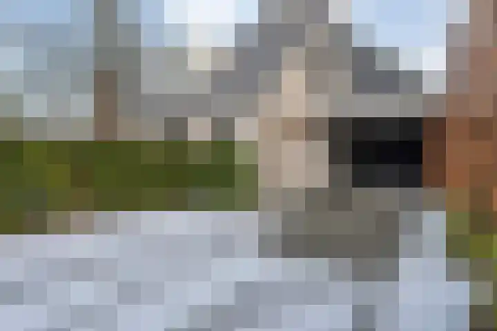 Heemst 8 a Nijverdal thumbnail 40
