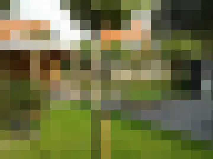 Heemst 8 a Nijverdal thumbnail 42
