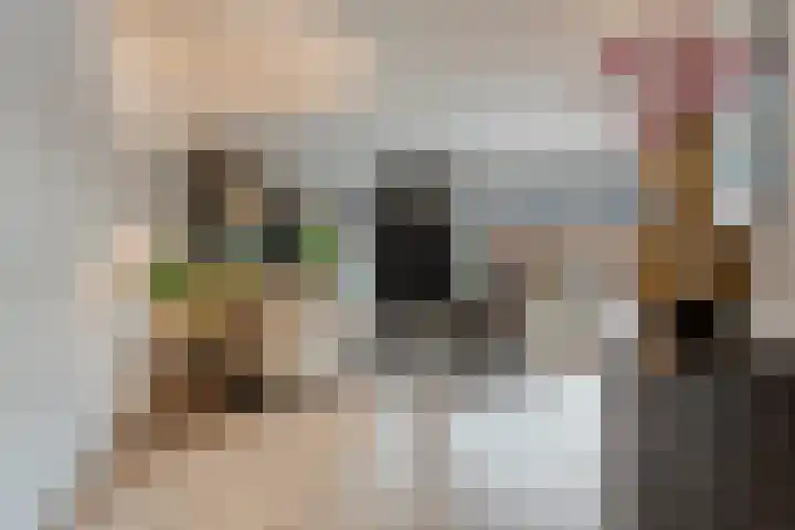 Heemst 8 a Nijverdal thumbnail 7