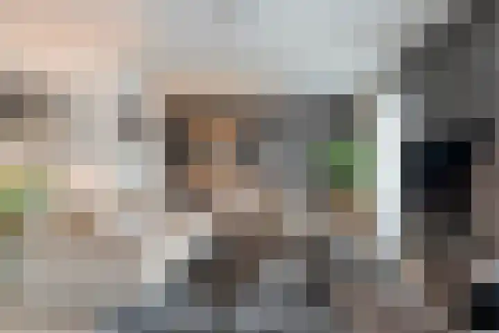Heemst 8 a Nijverdal thumbnail 8