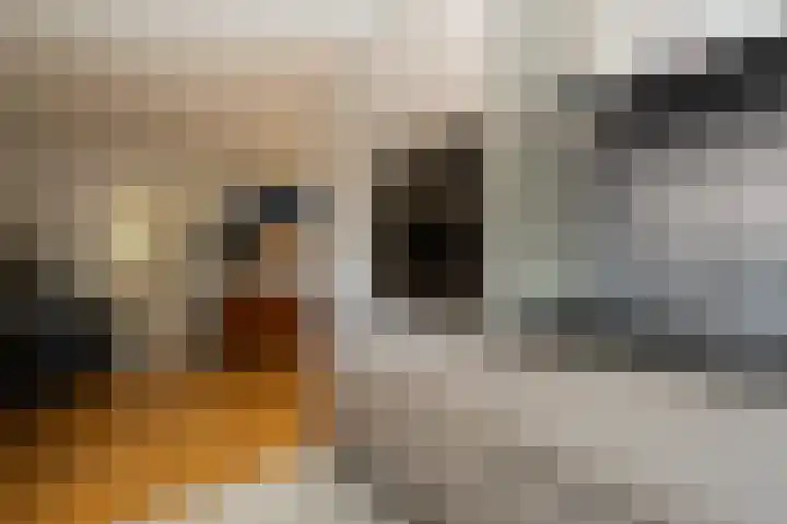 Heemstede 22 Nieuwe Pekela thumbnail 13
