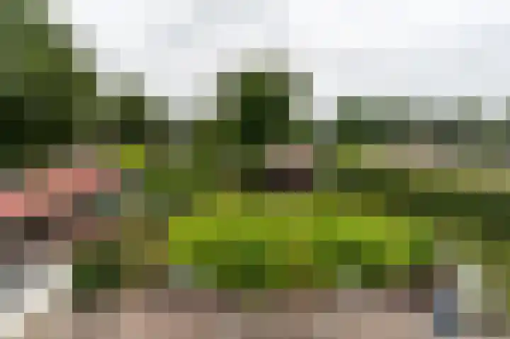 Heemstede 22 Nieuwe Pekela thumbnail 27