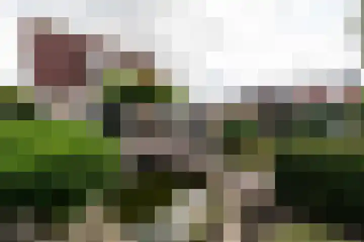 Heemstede 22 Nieuwe Pekela thumbnail 30