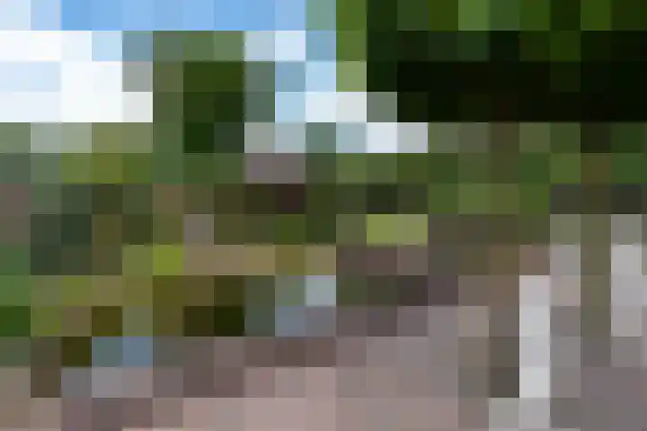 Heemstede 22 Nieuwe Pekela thumbnail 32