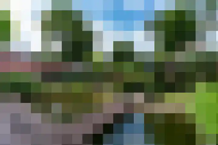 Heemstede 22 Nieuwe Pekela thumbnail 33