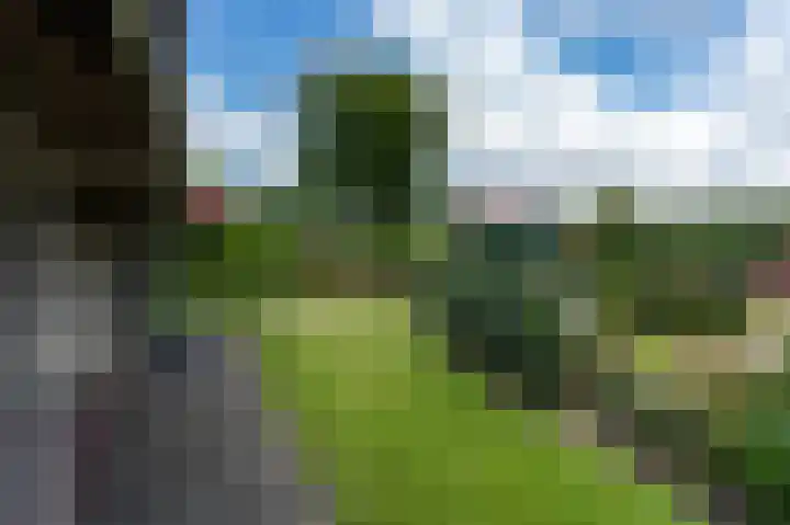 Heemstede 22 Nieuwe Pekela thumbnail 34