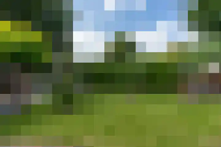 Heemstede 22 Nieuwe Pekela thumbnail 36
