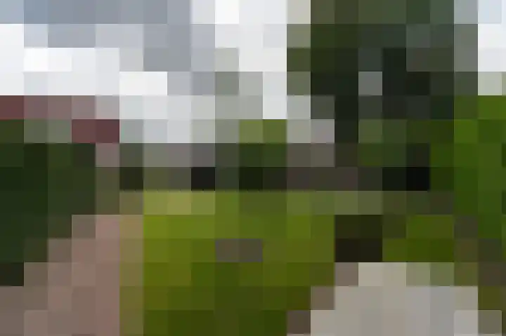 Heemstede 22 Nieuwe Pekela thumbnail 37