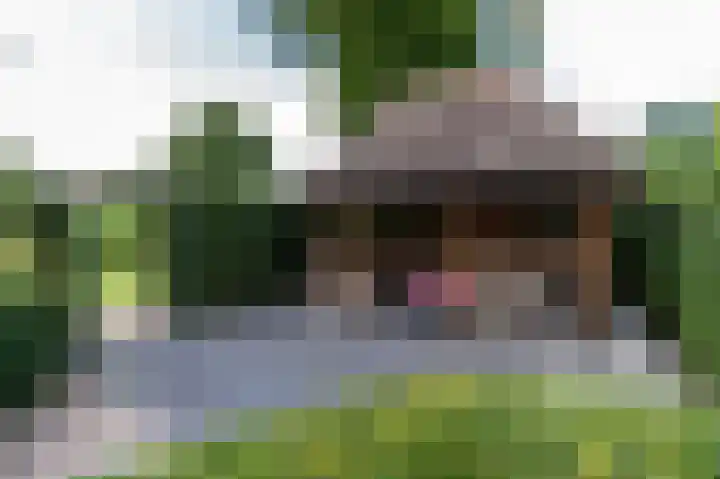 Heemstede 22 Nieuwe Pekela thumbnail 38