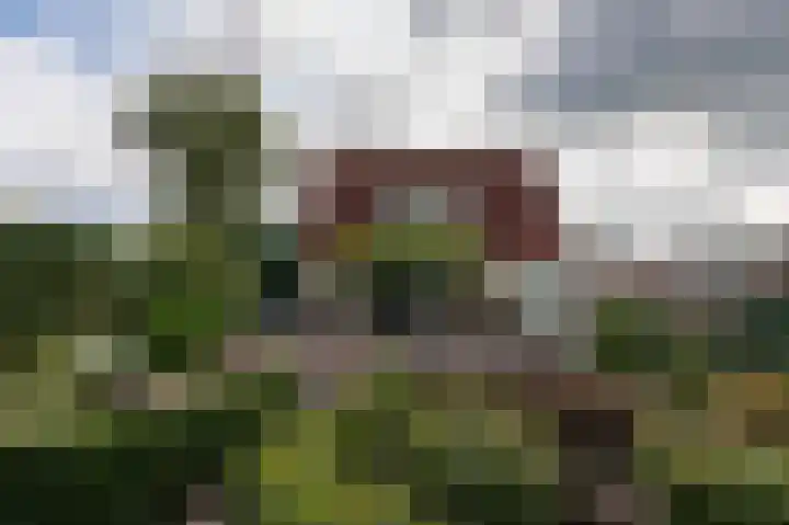Heemstede 22 Nieuwe Pekela thumbnail 40