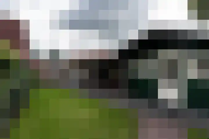 Heemstede 22 Nieuwe Pekela thumbnail 41