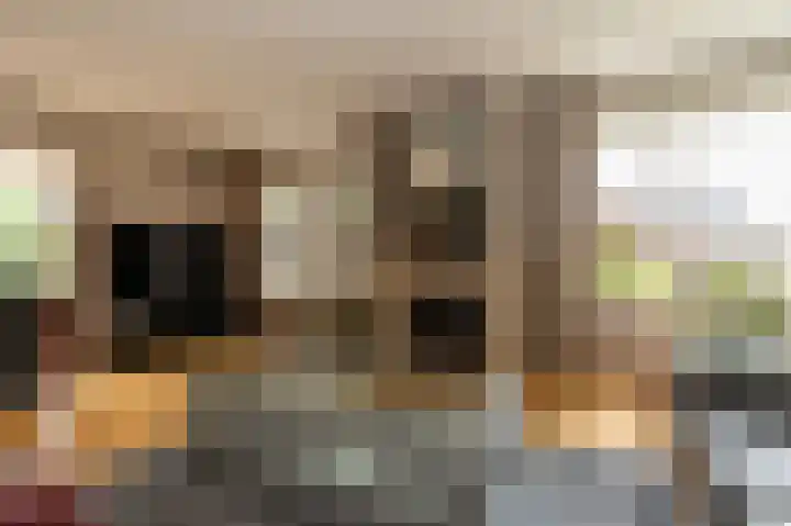 Heemstede 22 Nieuwe Pekela thumbnail 7
