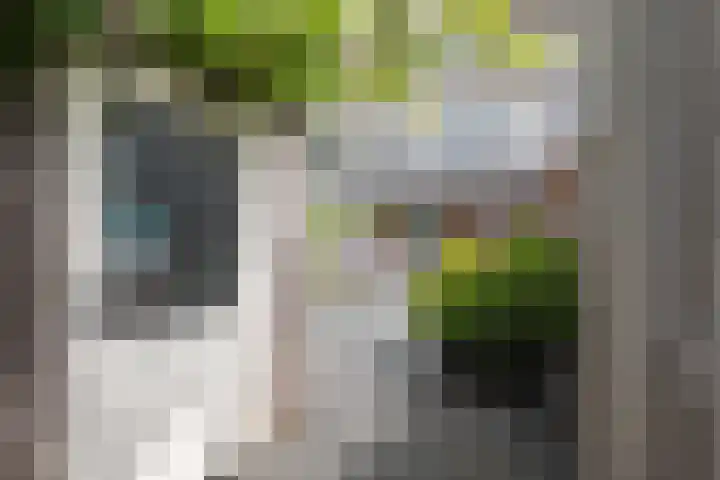 Heemstede 278 Amstelveen thumbnail 31