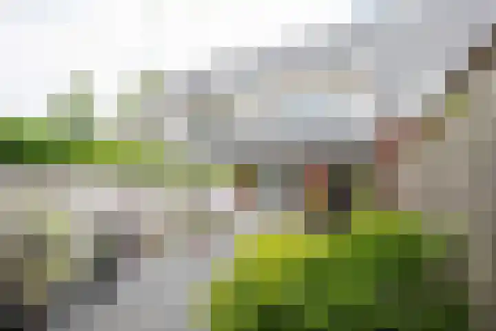 Heemstede 278 Amstelveen thumbnail 32