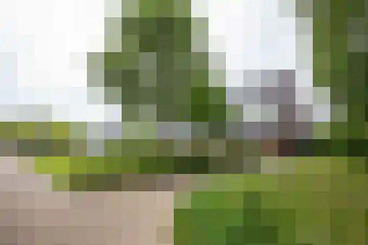 Heemstede 278 Amstelveen thumbnail 38