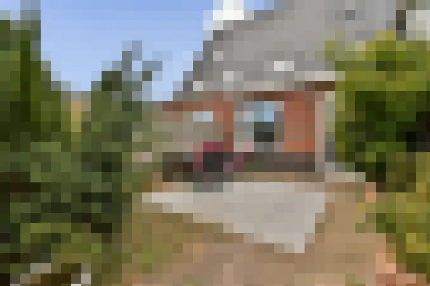 Heemstede 310 Amstelveen thumbnail 6