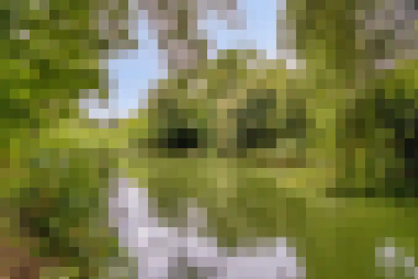 Heemstede 312 Amstelveen thumbnail 31