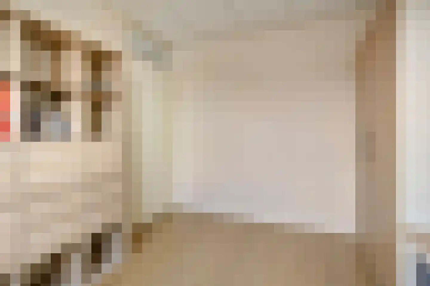 Heemstede 9 Nieuwe Pekela thumbnail 25