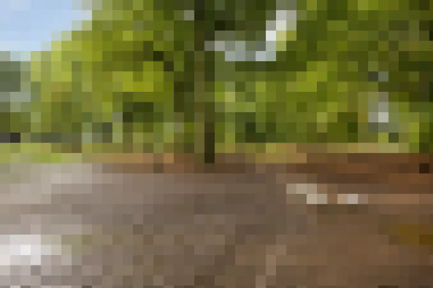Heemstede 9 Nieuwe Pekela thumbnail 33