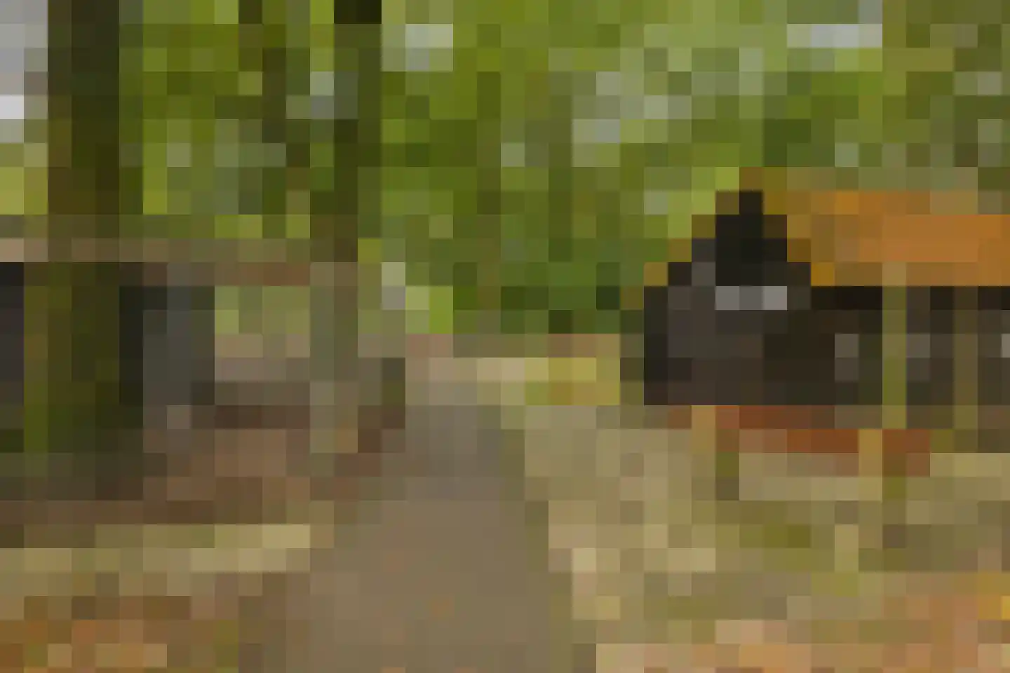 Heemstede 9 Nieuwe Pekela thumbnail 34