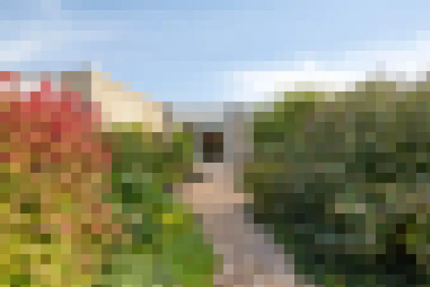 Heemstede 9 Nieuwe Pekela thumbnail 9