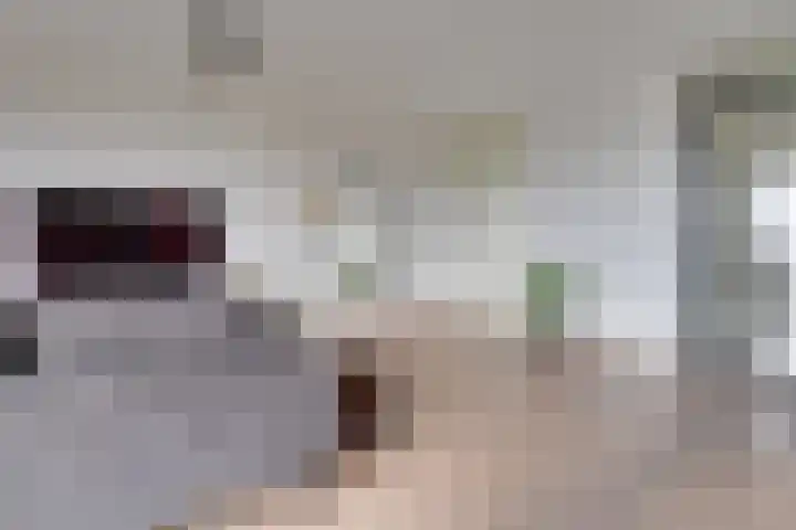 Heemstedelaan 101 Utrecht thumbnail 10