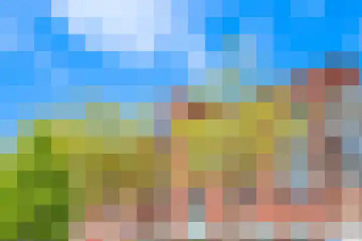 Heemstedelaan 101 Utrecht thumbnail 20