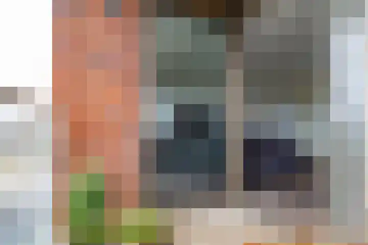 Heemstedelaan 101 Utrecht thumbnail 27