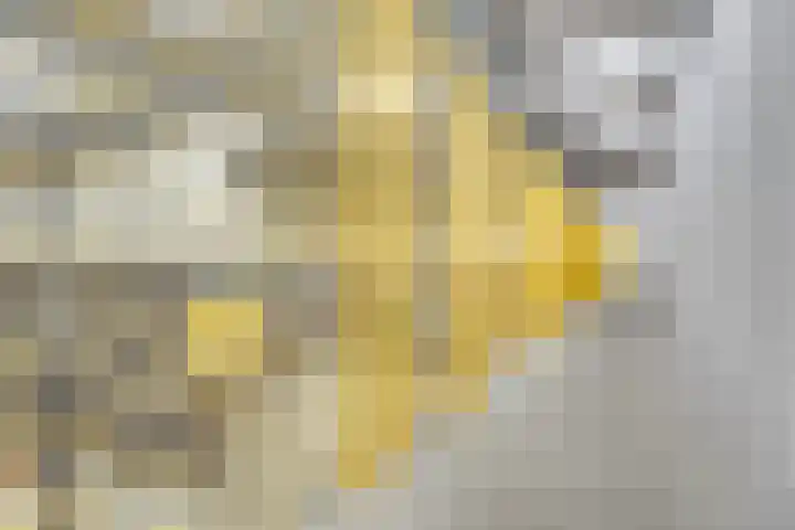 Heemstedelaan 101 Utrecht thumbnail 29