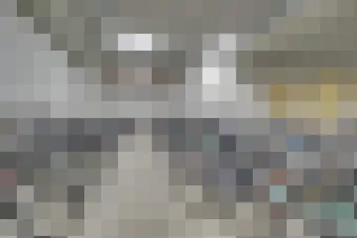 Heemstedelaan 101 Utrecht thumbnail 30