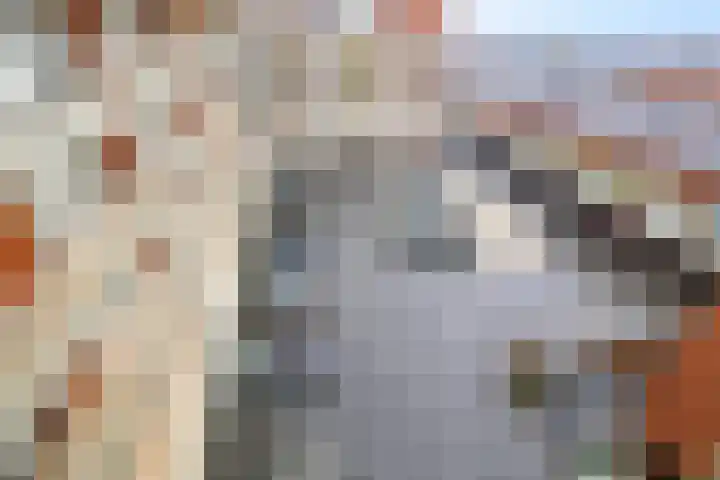 Heemstedelaan 101 Utrecht thumbnail 33