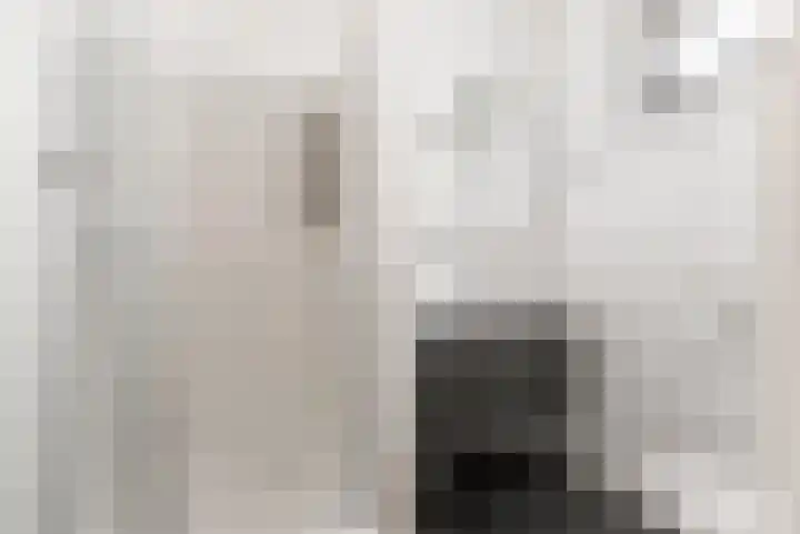 Heemstedelaan 12 Utrecht thumbnail 21