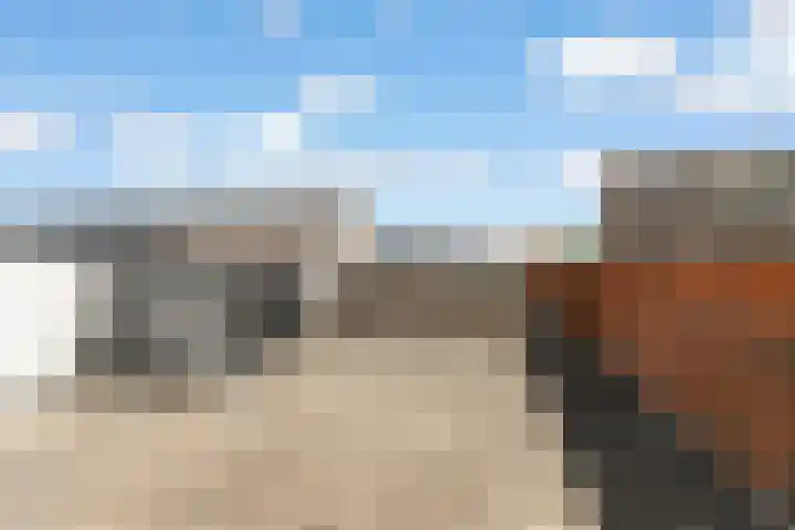 Heemstedelaan 12 Utrecht thumbnail 25