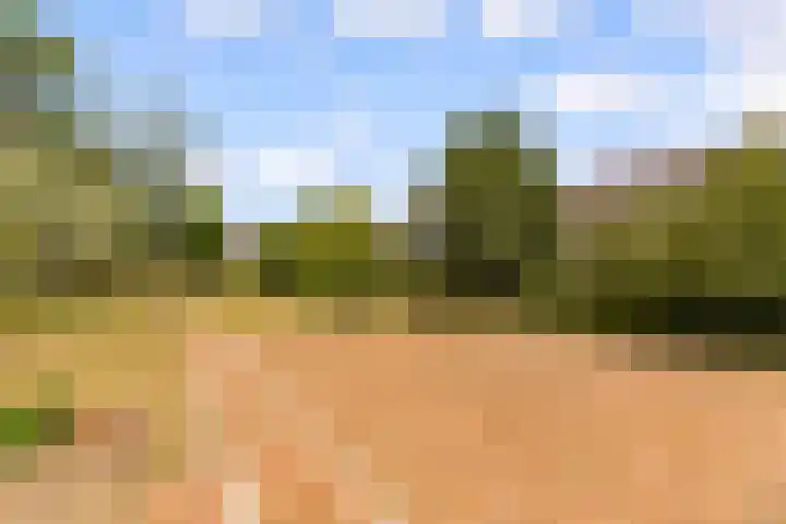 Heemstedelaan 12 Utrecht thumbnail 37